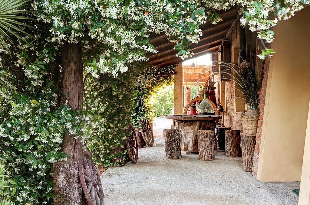 Appartamenti Alcantara E Damasco Abbadia di Montepulciano Cameră foto